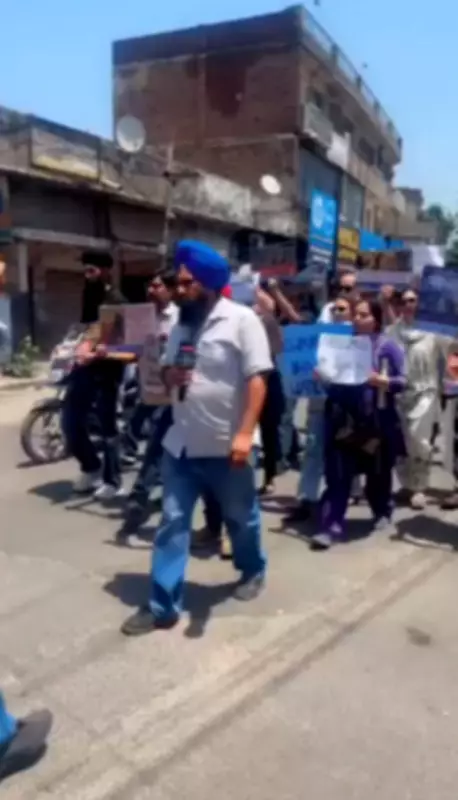 Animal Activists Protest at Ludhiana MLA's Home Over Stray Dog Feeding Ban