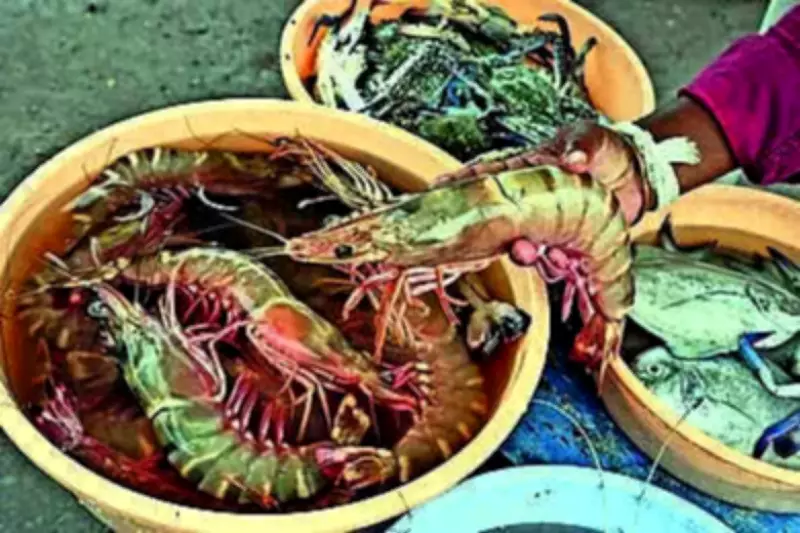 AP govt forms permanent panel to monitor shrimp feed prices, ensure transparency