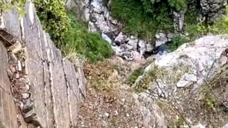 Army Officer Dies in Rajouri Gorge Fall During Anti-Terror Op