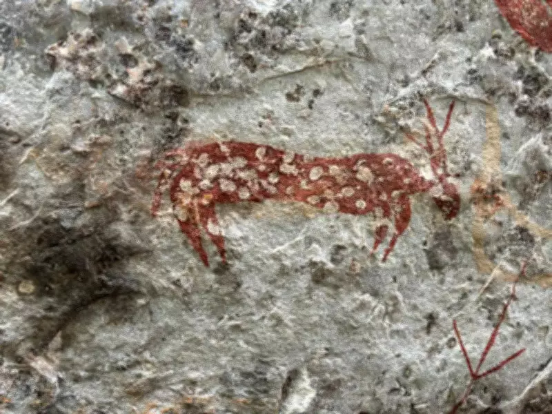 ASI Discovers 3,500-Year-Old Inscriptions in Nallamala Tiger Reserve