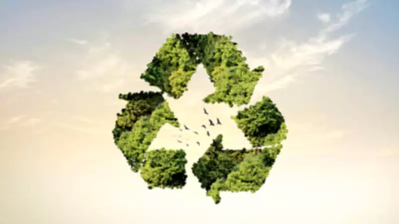Banana Leather, Coffee Sunglasses: 5 Surprising Recycling Innovations