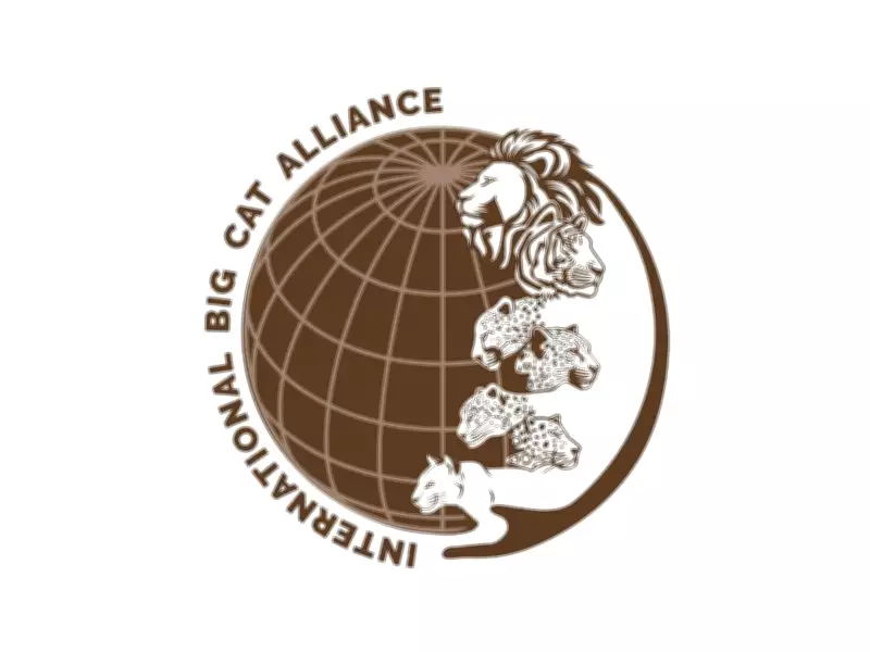 Bangladesh Joins India-led International Big Cat Alliance for Conservation