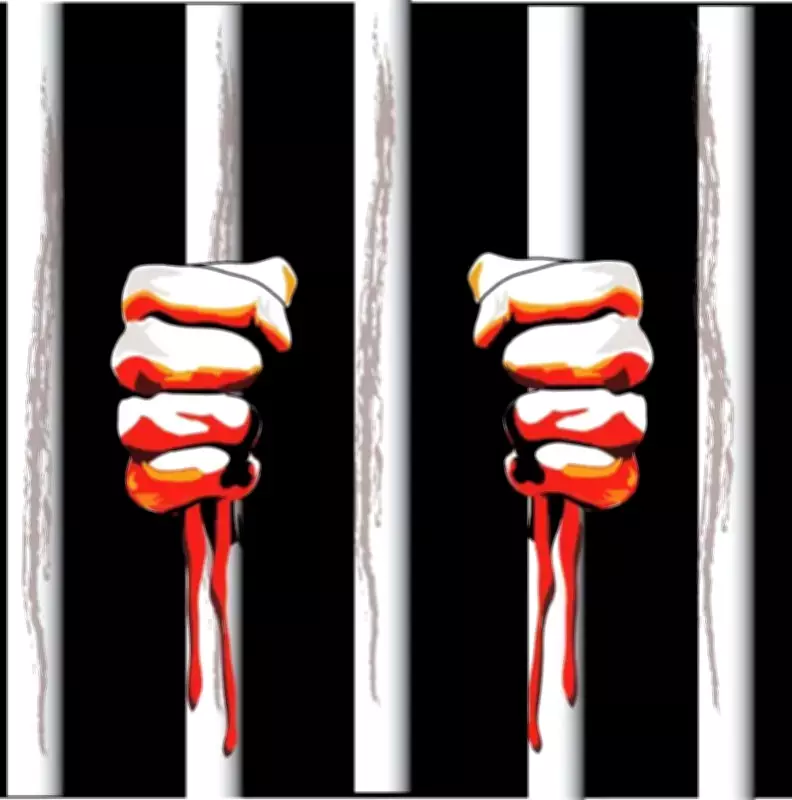 Bank Sales Officer Arrested for Online Fraud and Mobile Hacking in Narnaul