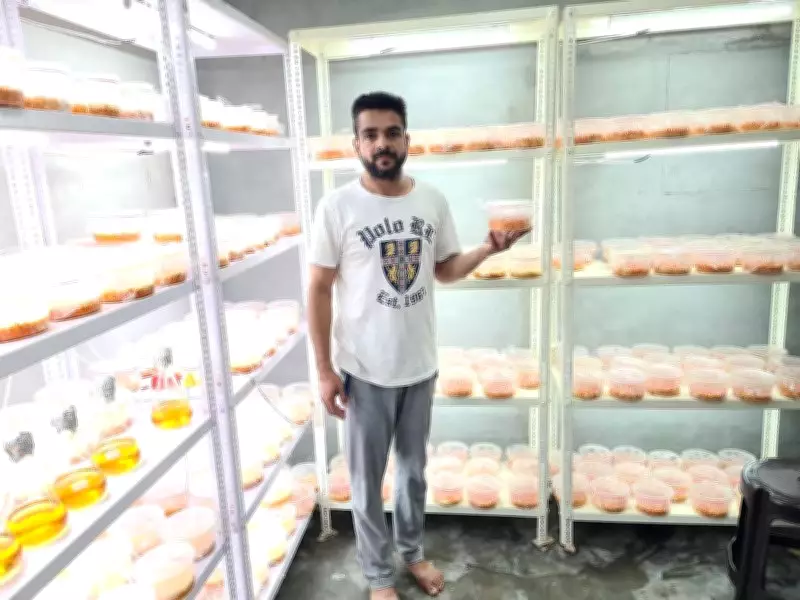 Barnala Farmer Earns Rs 8L Annually by Cultivating Rare Himalayan Cordyceps Mushroom