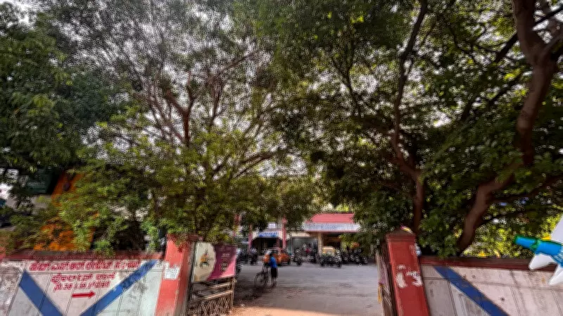 BDA Withdraws Request to Cut 184 Trees in Bengaluru's HSR Layout