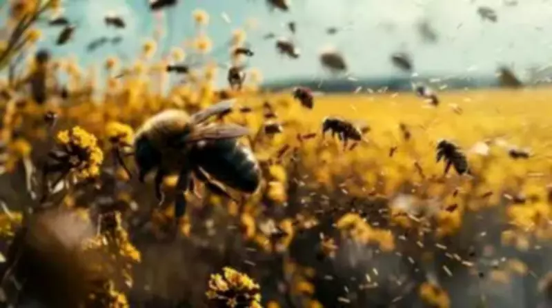Bee Attack at Tamil Nadu School: Teacher, 13 Students Injured