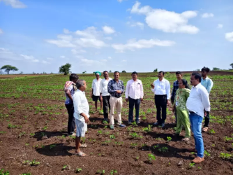Belagavi Faces Rainfall Deficit, Kharif Sowing Drops to 51%