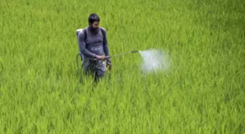 Bengal's Development Paradox: Agriculture and Health Shine, Environment and Infrastructure Lag