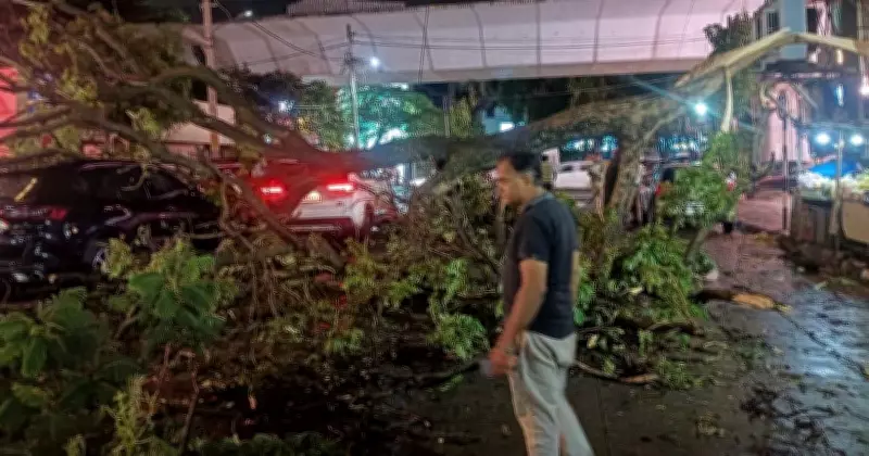 Bengaluru Battles Heavy Rain: Trees Uprooted, Roads Flooded