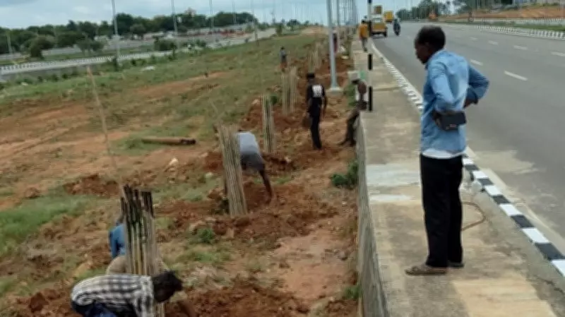 Bengaluru: Blooming Trees to Brighten Mysuru-Magadi Road