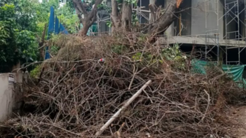 Bengaluru Couple Struggles with Debris from Fallen Tree a Month On