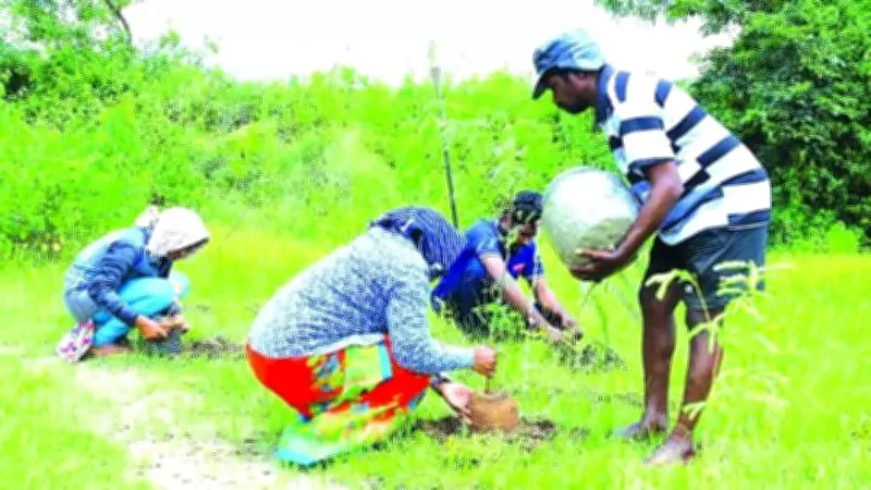 Bengaluru: Inside BDA's Green Guinness Dream for 15 Lakh Saplings