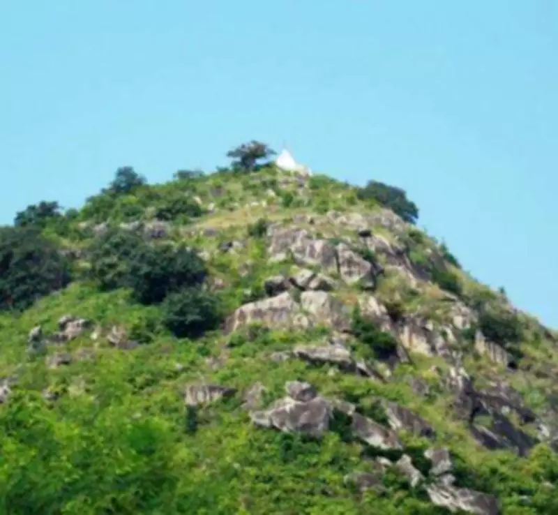 Bihar Plans to Transform Barren Hills into Eco-Tourism Hubs with 1 Lakh Saplings