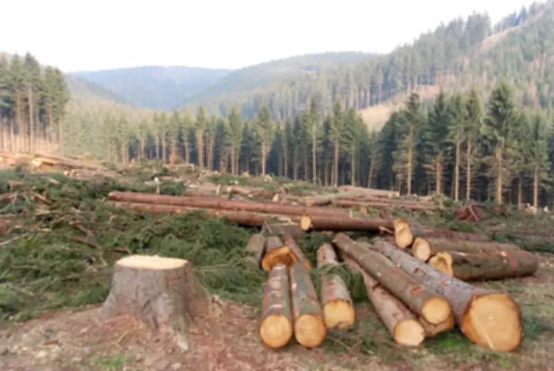 Biodiversity Loss Could Spike Interest Payments for India and China: Study