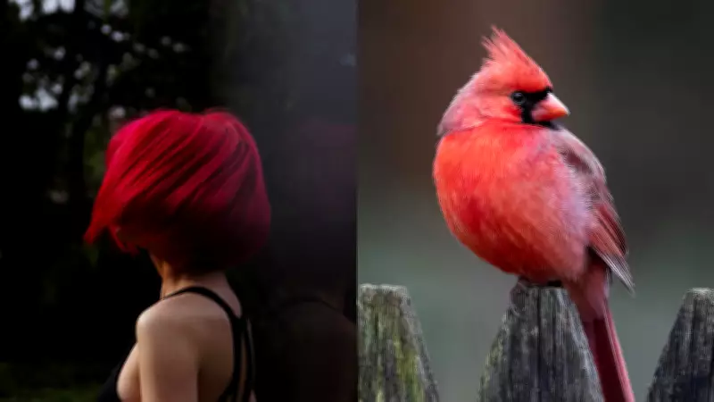 Bird Study Reveals Red Hair May Protect Cells from Damage, Not Just Color
