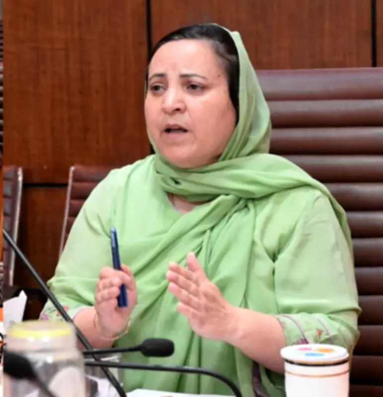 BJP and PDP Target NC Government Over Outsourcing Jobs Row in J&K