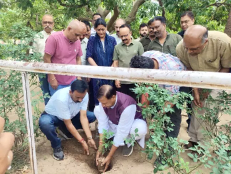 BJP launches statewide plantation drive targeting 2 lakh saplings in Himachal