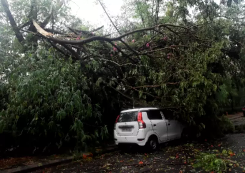 BMC Pushcarts, Nor'wester Chaos, CM's Bag Mystery, Cuttack Renamed Kataka