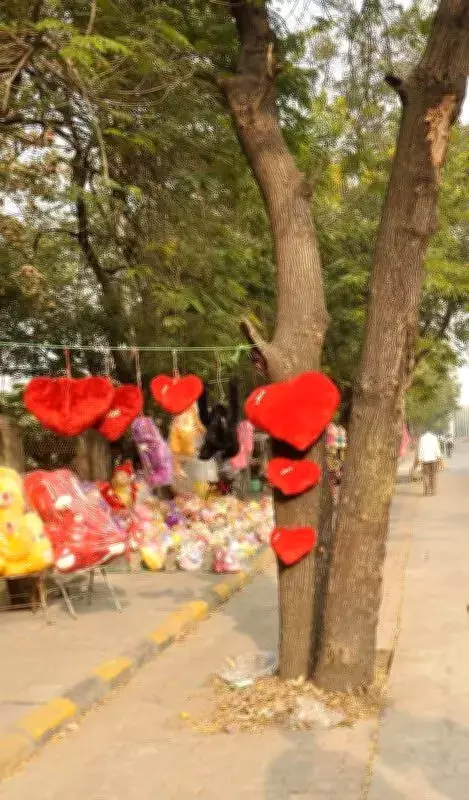Bombay HC Slams Nagpur Civic Body Over Trees Re-encased in Concrete