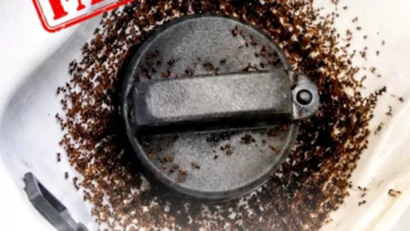 BPCL Dismisses Viral Video Claim That E20 Petrol Attracts Ants