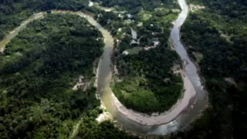 Brazil Reports Sharp Drop in Amazon Deforestation, Countering US Tariff Arguments