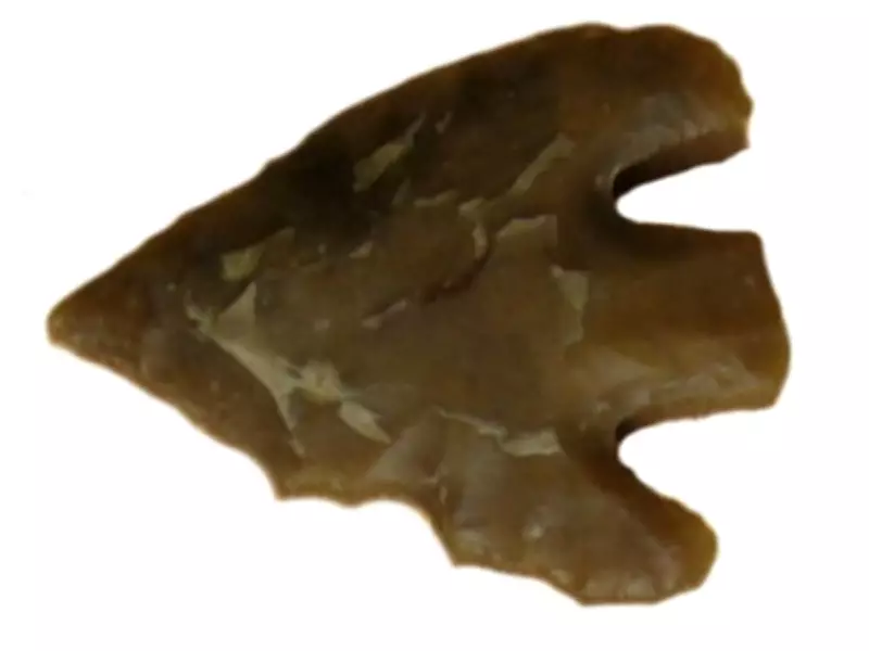 Bronze Age Arrowhead Made from Meteoritic Iron Discovered in Switzerland