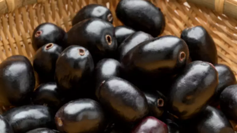 Can Jamun Help Control Blood Sugar? Expert Explains Its Benefits for Diabetes