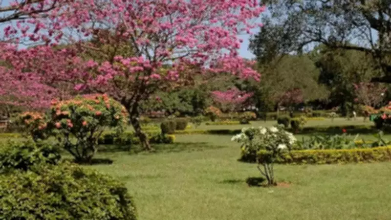 Canadian Man's Frustrating Yet Rewarding Move to Bengaluru, India
