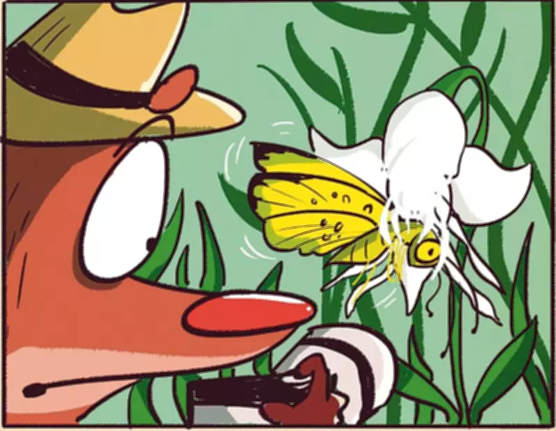 Carri-On, Ruddy! New Book by Rohan Chakravarty Brings Nature Detective Back