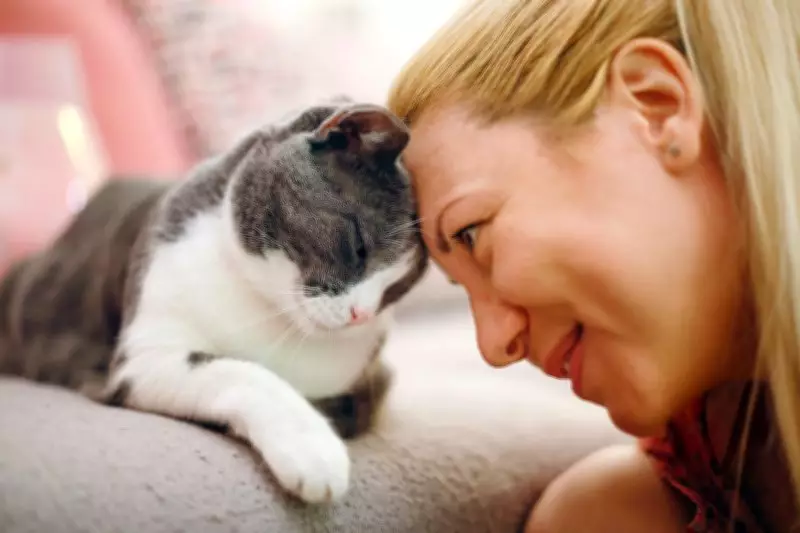 Cats Age Like Humans, Offer Insights into Ageing-Related Diseases: Study
