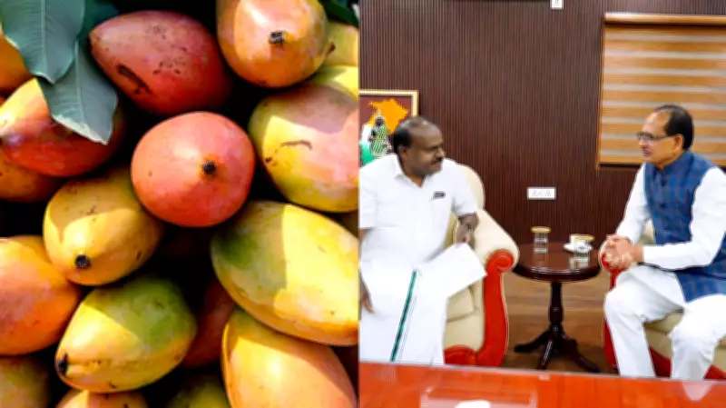 Centre Approves Procurement of Karnataka's Totapuri Mangoes, Kumaraswamy Grateful