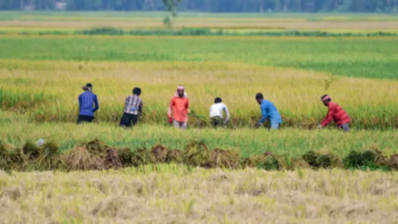 Centre Directs States to Activate Contingency Plans for Below-Normal Monsoon