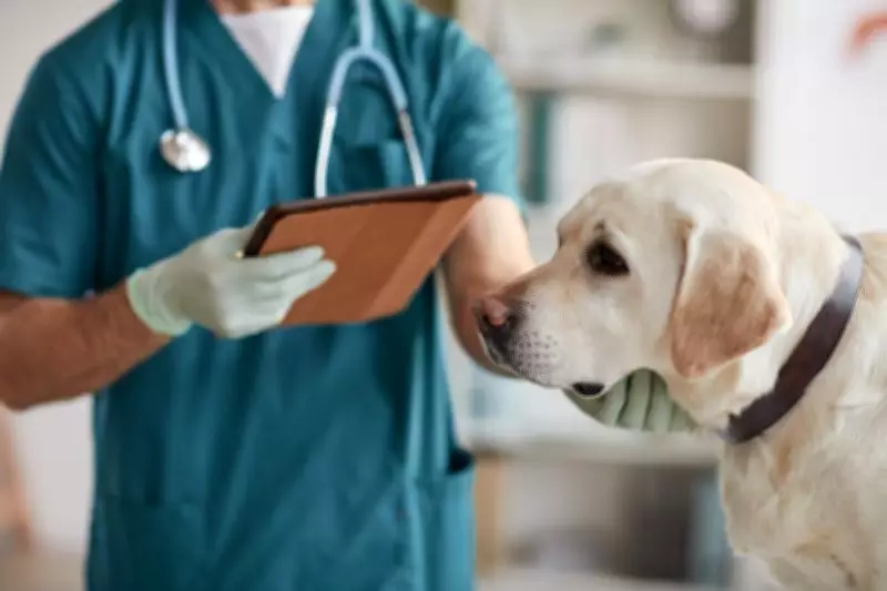Centre expands veterinary vaccine testing at CCS-NIAH, Baghpat