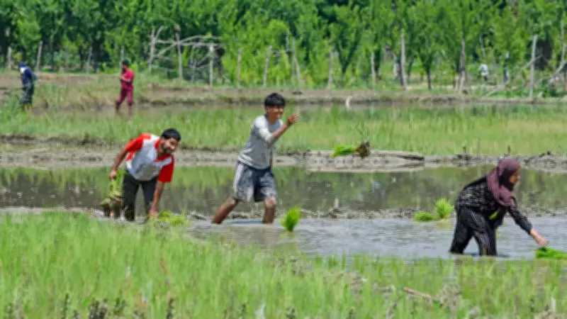 Centre Launches Month-Long Khet Bachao Abhiyan for Balanced Fertiliser Use