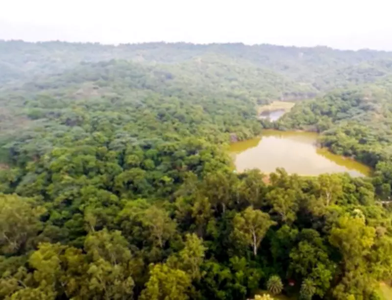 Centre Reconstitutes Chandigarh Environmental Clearance Panels with New Leadership
