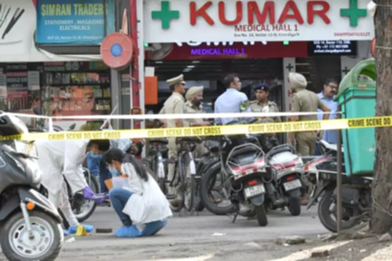 Chandigarh Sector 11 Killing Probe Reveals Links to Drugs, Vigilantism, and Evolving Crime Scene