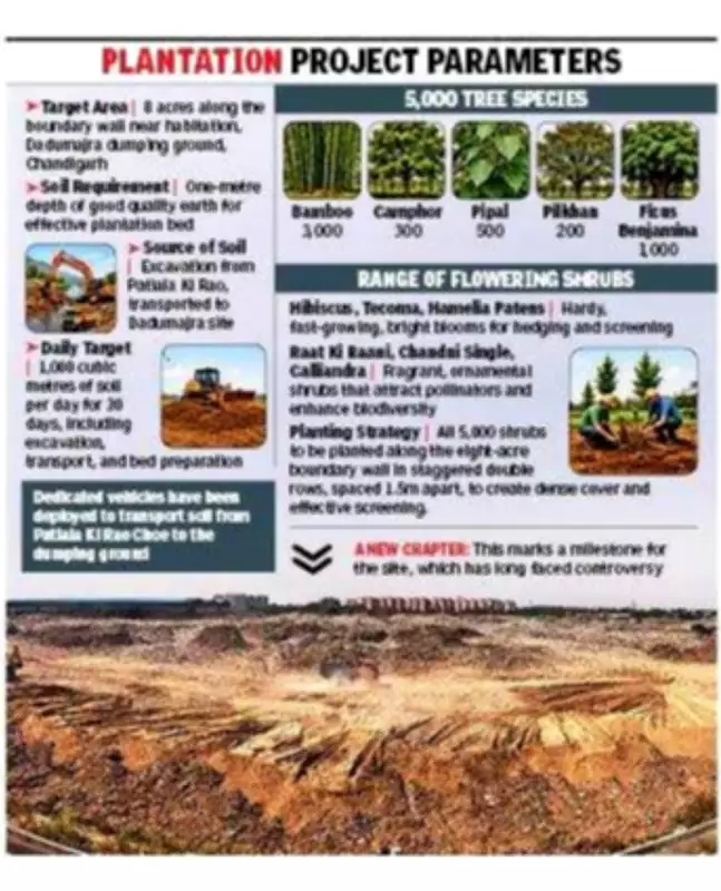 Chandigarh to Plant 10,000 Trees, Shrubs at Dadumajra Dump Site in Green Drive