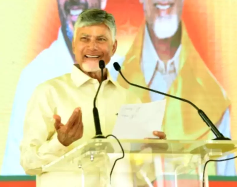 Chandrababu Naidu directs TDP leaders to engage in voter verification drive