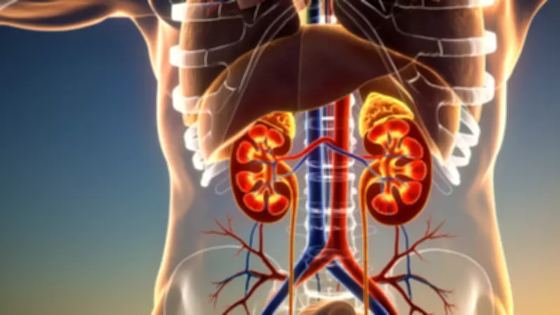 Chemotherapy and Kidney Health: How to Protect Your Kidneys During Cancer Treatment