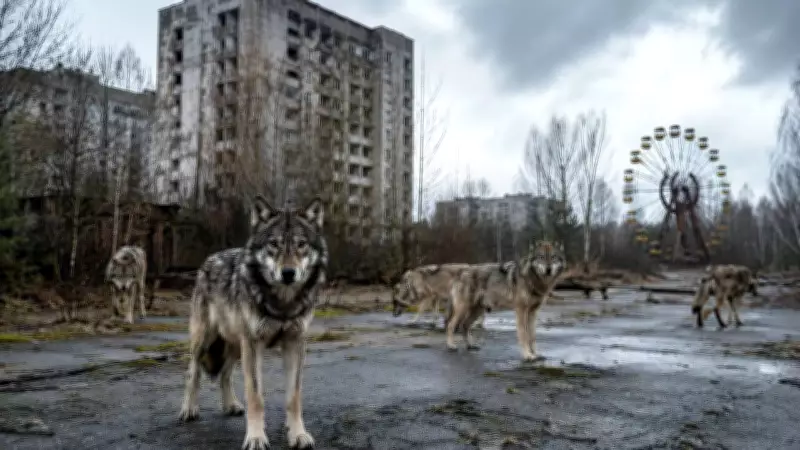 Chernobyl Wildlife Thrives Without Humans, Radiation Studies Reveal