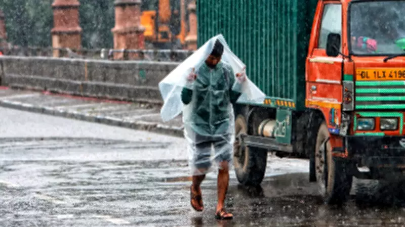 Chikkamagaluru monsoon deficit hits 58%, worst in 56 years