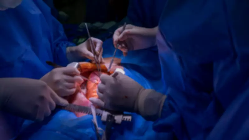 Christiaan Barnard: The Surgeon Who Performed the First Human Heart Transplant