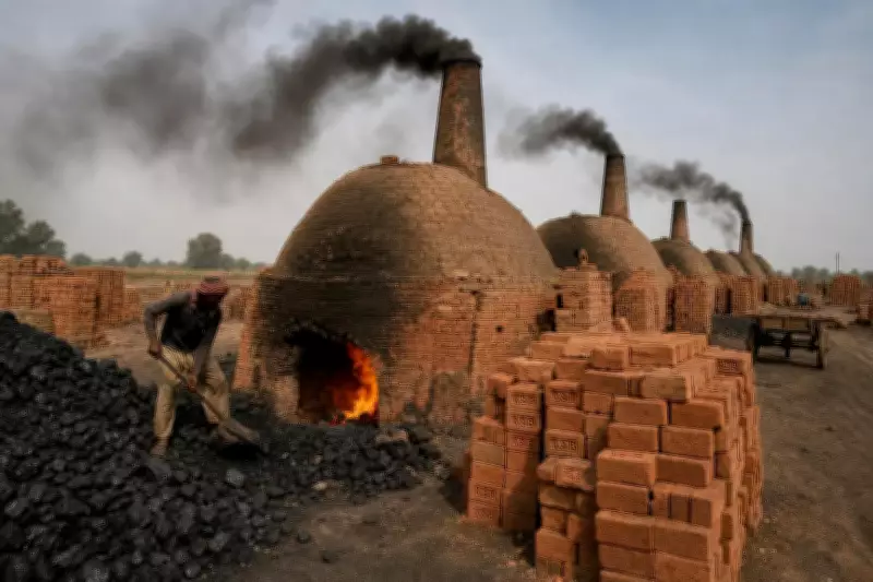 Coal Use Persists in Delhi-NCR Brick Kilns Despite Ban, CSE Survey Finds