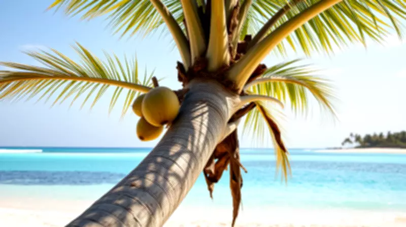 Coconut Palm: The Tree of a Thousand Uses and Its Global Impact