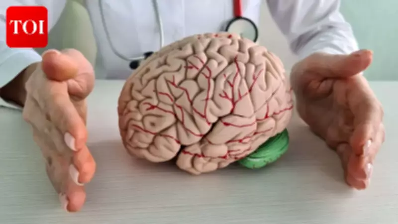 Cognitive Decline Not Inevitable: Study Shows Brain Can Improve at Any Age