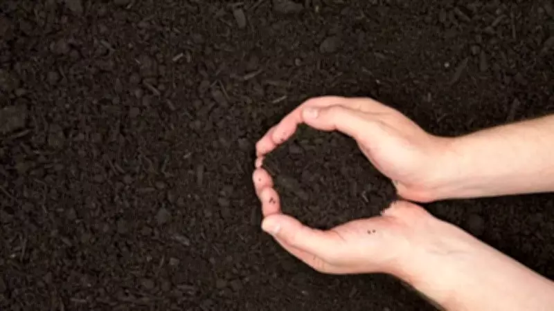 Compost vs Potting Soil vs Topsoil: Key Differences and Best Uses for Gardening