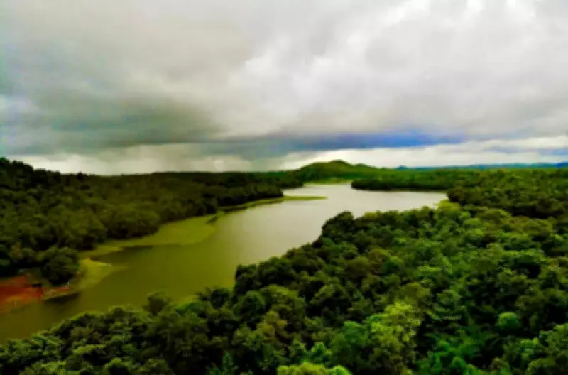 Congress Alleges 1,313 Hectares of Gujarat Forest Land Diverted