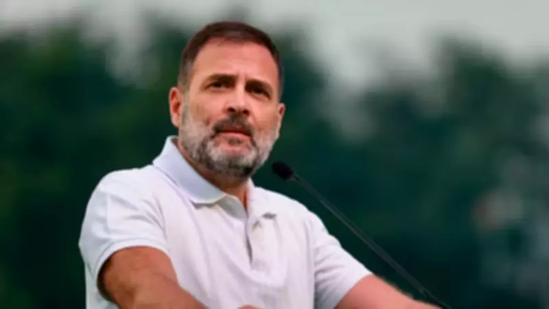 Congress Mega Job Fair on Rahul Gandhi's Birthday: Over 150 Firms to Participate