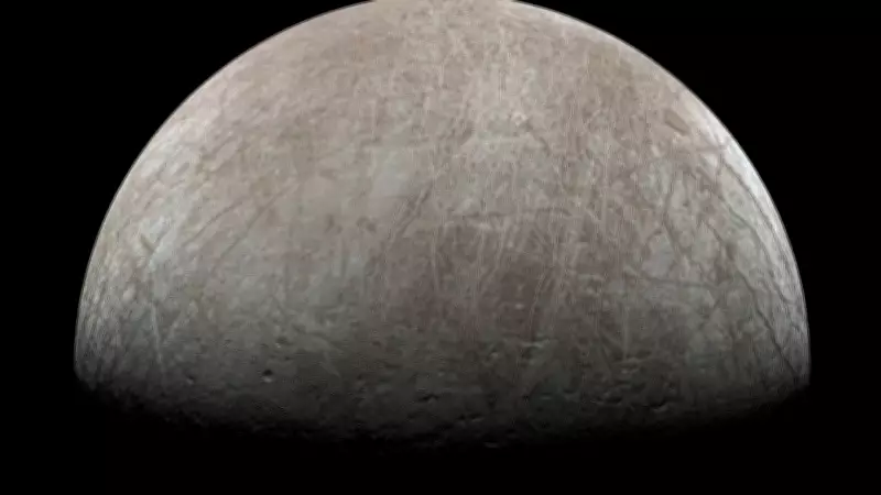 Could Earth Dust Carry Life to Europa? New Panspermia Study Explores Possibility