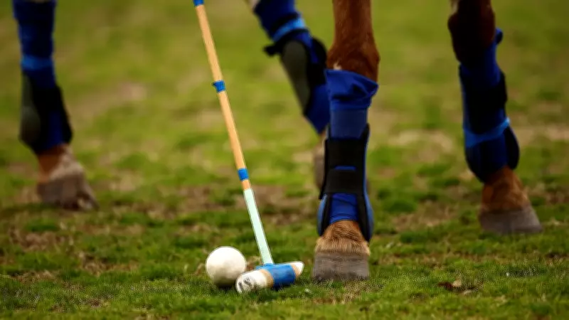 Court Denies Interim Relief to Indian Polo Association in Eviction Case